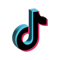 Populair op TikTok worden gaat zo